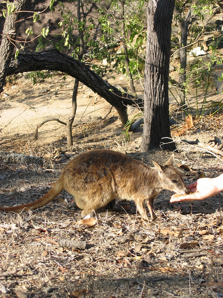 131 Granite gorge.jpg